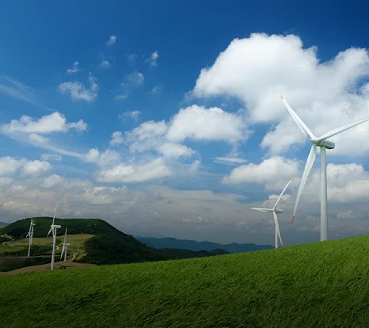 Прогулка
по альпийским лугам