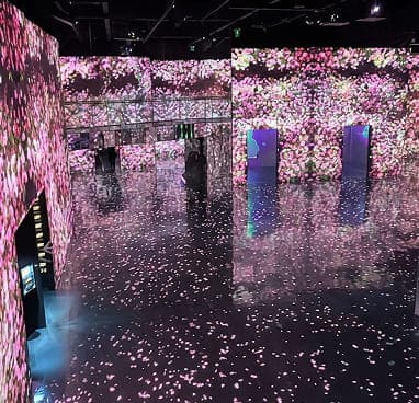 иммерсивный музей цифрового искусства