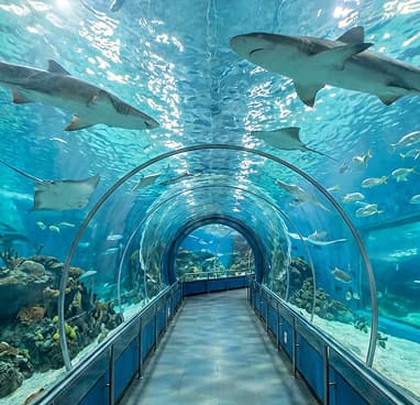 океанариум